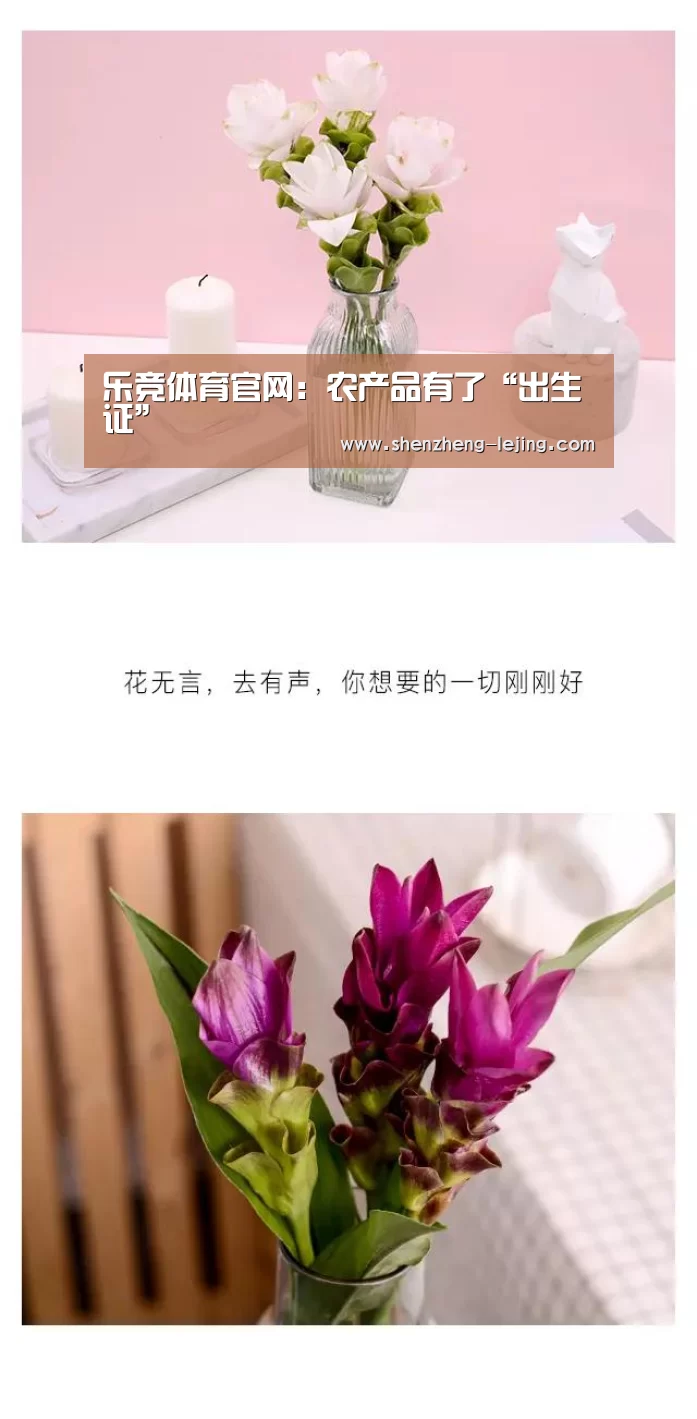 乐竞体育app